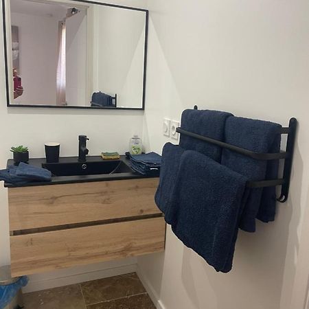 Apartament Bienvenue En Beaujolais Saint-Jean-dʼArdières Zewnętrze zdjęcie