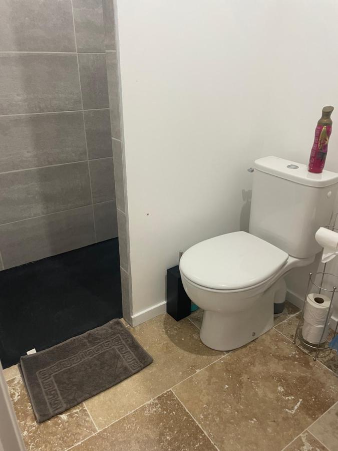 Apartament Bienvenue En Beaujolais Saint-Jean-dʼArdières Zewnętrze zdjęcie