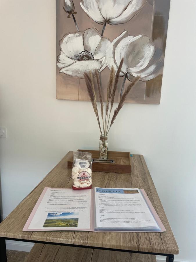 Apartament Bienvenue En Beaujolais Saint-Jean-dʼArdières Zewnętrze zdjęcie