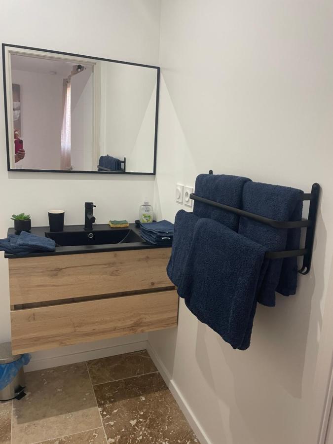 Apartament Bienvenue En Beaujolais Saint-Jean-dʼArdières Zewnętrze zdjęcie